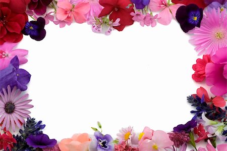 simsearch:400-04806771,k - background frame of various flowers Stockbilder - Microstock & Abonnement, Bildnummer: 400-04565711