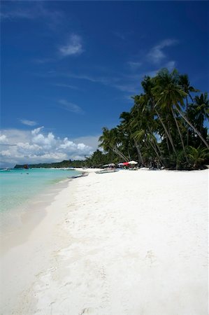 palms trees and white sand of boracay island in the philippines Stock Photo - Budget Royalty-Free & Subscription, Code: 400-04565812