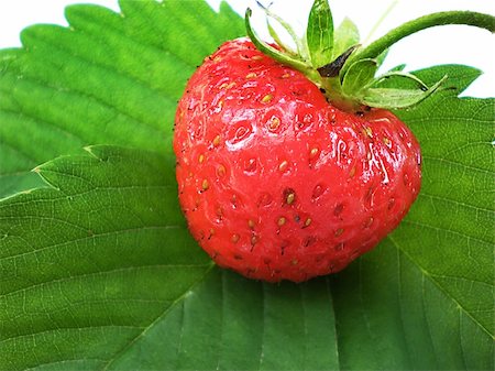 simsearch:400-04287445,k - red juicy strawberries isolated on white background Stockbilder - Microstock & Abonnement, Bildnummer: 400-04566041