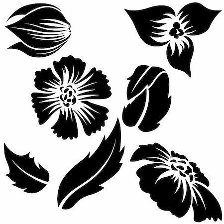 flowers in growing clip art - Flower elements A - plant segments as vector parts Stock Photo - Budget Royalty-Free & Subscription, Code: 400-04566555