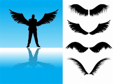 simsearch:400-06087742,k - Vector - Collection of detailed angel or bird wings. Stock Photo - Budget Royalty-Free & Subscription, Code: 400-04567577