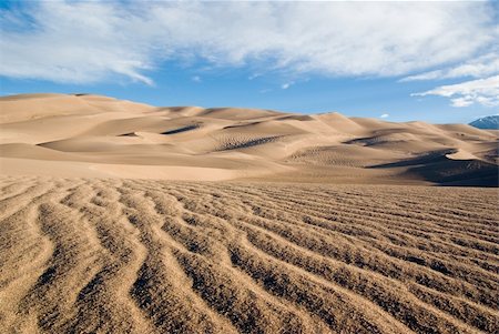 parched - sand dunes in the early morning in Colorado Stock Photo - Budget Royalty-Free & Subscription, Code: 400-04567667