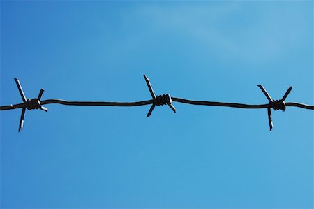 Fencing wire on clear blue sky Stock Photo - Budget Royalty-Free & Subscription, Code: 400-04567940