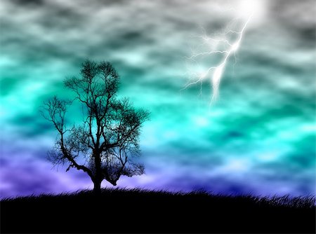Tree silhouette on the field against a stormy sky Photographie de stock - Aubaine LD & Abonnement, Code: 400-04568265