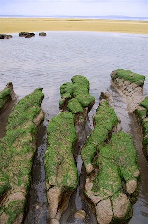 simsearch:400-05230665,k - mud banks on the west coast of ireland near ballybunion Stockbilder - Microstock & Abonnement, Bildnummer: 400-04569186