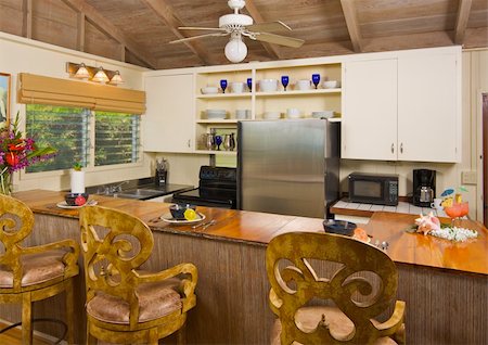 Tropical Kitchen Interior Stock Photo - Budget Royalty-Free & Subscription, Code: 400-04569616