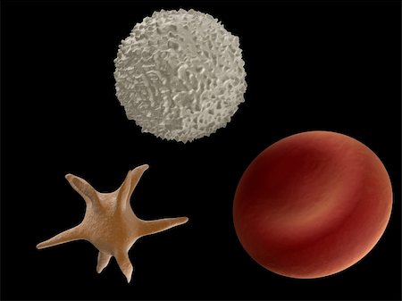 3d rendered illustration of isolated blood parts Stock Photo - Budget Royalty-Free & Subscription, Code: 400-04569900