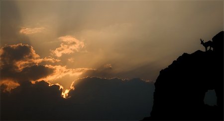 dundanim (artist) - Stunning landscape - silhouette of a mountain goat at dusk Fotografie stock - Microstock e Abbonamento, Codice: 400-04560853