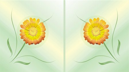 simsearch:400-04432314,k - The beautiful card two flowers reflected mirror on a light background Stock Photo - Budget Royalty-Free & Subscription, Code: 400-04561137