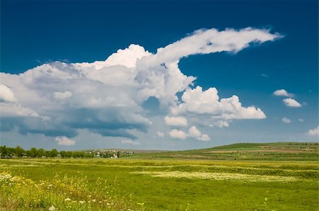 simsearch:400-07295947,k - summer rural landscape with beautiful cloudy sky Fotografie stock - Microstock e Abbonamento, Codice: 400-04561243