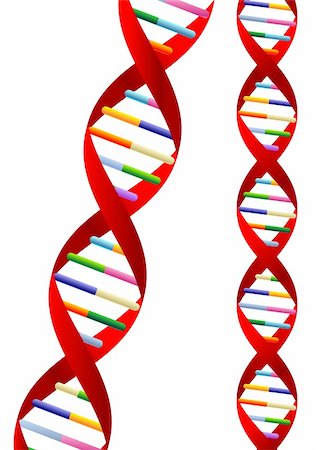 pnog (artist) - DNA helix representation isolated over white background Foto de stock - Super Valor sin royalties y Suscripción, Código: 400-04561450