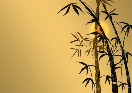 Branches of a bamboo on a background of light of the sun Stock Photo - Budget Royalty-Free & Subscription, Code: 400-04561573