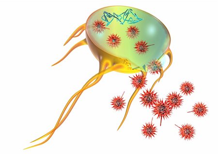 electron microscope - schematic display of virus attack of cell and injection of it's DNA into the host cell. Then the host cell start to reproduce new virus that burst out by destroying the host. Stock Photo - Budget Royalty-Free & Subscription, Code: 400-04561711