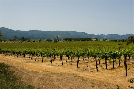 simsearch:846-05647551,k - Napa is the county seat of Napa County, California. Stock Photo - Budget Royalty-Free & Subscription, Code: 400-04561758