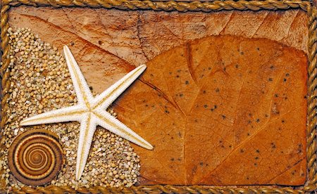 simsearch:400-04106913,k - Seashell and starfish background Stock Photo - Budget Royalty-Free & Subscription, Code: 400-04562258