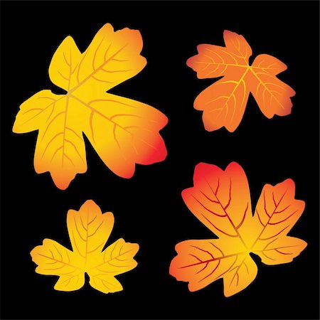 simsearch:400-04066755,k - red and yellow autumn leaves - vector illustration Foto de stock - Royalty-Free Super Valor e Assinatura, Número: 400-04562474