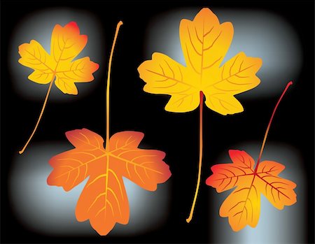 simsearch:400-04221461,k - red and yellow autumn leaves - vector illustration Stock Photo - Budget Royalty-Free & Subscription, Code: 400-04562475