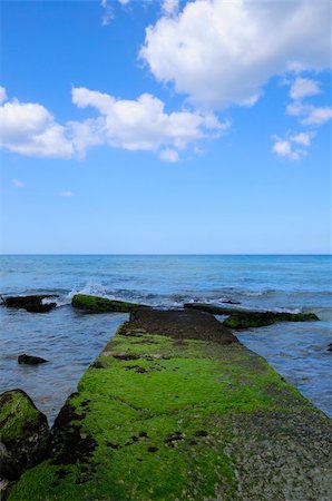 swim lanes island - Mossy path into the sea Stock Photo - Budget Royalty-Free & Subscription, Code: 400-04562574