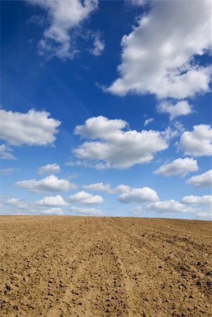 Blue sky with clouds over ploughed field. Stock Photo - Budget Royalty-Free & Subscription, Code: 400-04562868