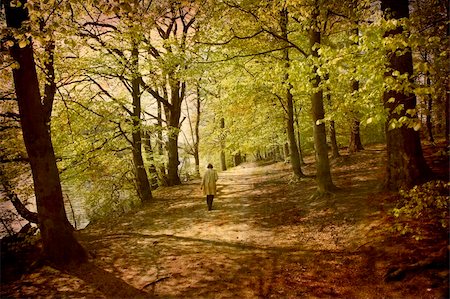 simsearch:400-05059274,k - Artistic work of my own in retro style - Postcard from Denmark. - Lonely walk in the Beech forest. Foto de stock - Super Valor sin royalties y Suscripción, Código: 400-04563175