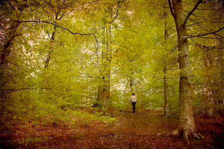 simsearch:400-05071947,k - Artistic work of my own in retro style - Postcard from Denmark. - Lonely walk in the Beech forest. Foto de stock - Super Valor sin royalties y Suscripción, Código: 400-04563171