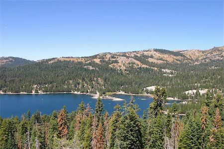 sierra - Bear Valley is a census-designated place in Alpine County, California, United States. Foto de stock - Royalty-Free Super Valor e Assinatura, Número: 400-04563235