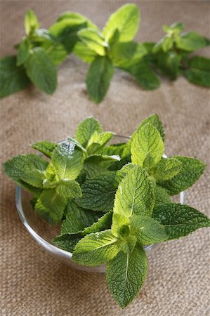 fresh green mint on glass bowl and three twigs on background, shallow DOF Foto de stock - Royalty-Free Super Valor e Assinatura, Número: 400-04574170