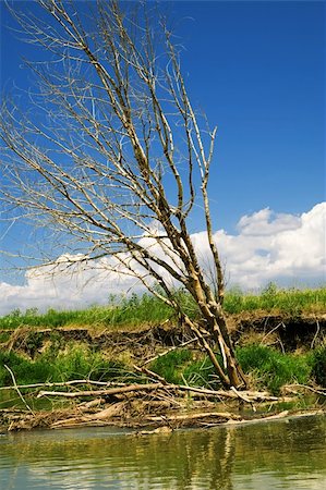 selhin (artist) - Ecology. It happens so that even the lives near the river does not warrant death by drought. Photographie de stock - Aubaine LD & Abonnement, Code: 400-04575047