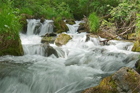 simsearch:400-05034990,k - mountain river in the forest Foto de stock - Super Valor sin royalties y Suscripción, Código: 400-04575475