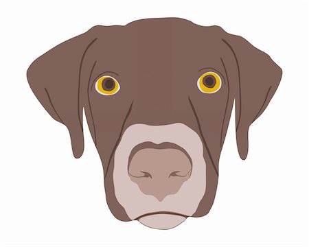 pointer dogs colors - Silhouette of a dogs head Stock Photo - Budget Royalty-Free & Subscription, Code: 400-04576587