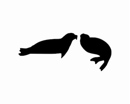 Two seals Stock Photo - Budget Royalty-Free & Subscription, Code: 400-04576599