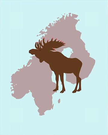 elks sweden - Elk with christmas caps on its antlers in Scandinavia Stock Photo - Budget Royalty-Free & Subscription, Code: 400-04578514