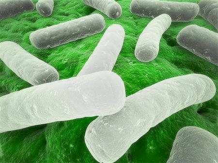 simsearch:400-05226095,k - 3d rendered close up of some isolated bacteria Stock Photo - Budget Royalty-Free & Subscription, Code: 400-04579797