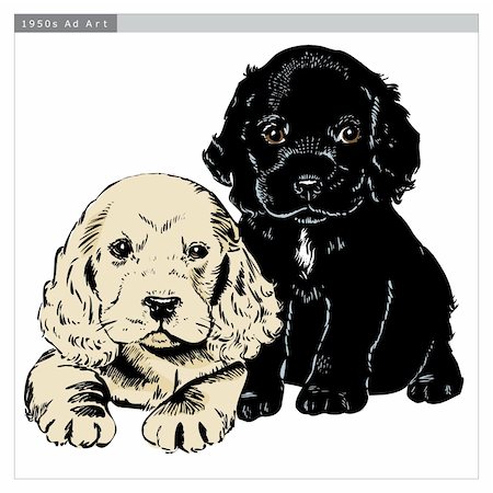 dorisrich (artist) - Vintage 1950s etched-style cute puppies.  Detailed black and white from authentic hand-drawn scratchboard includes full colorization. Stock Photo - Budget Royalty-Free & Subscription, Code: 400-04579978