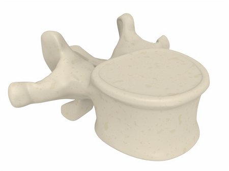 simsearch:400-03966260,k - 3d rendered anatomy illustration of a human vertebra Stockbilder - Microstock & Abonnement, Bildnummer: 400-04570812