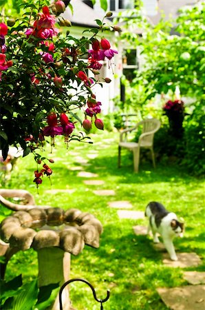 stepping on flowers - Path of stepping stones leading to a house in lush green garden Stock Photo - Budget Royalty-Free & Subscription, Code: 400-04571886