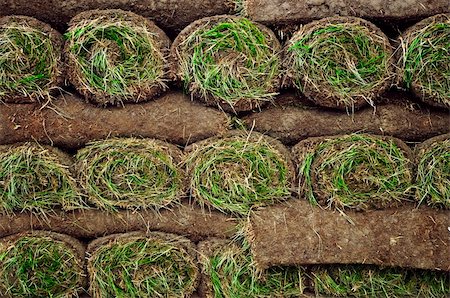 simsearch:400-08074641,k - Stack of rolled grass sod or turf for lawns and landscaping Stock Photo - Budget Royalty-Free & Subscription, Code: 400-04571881