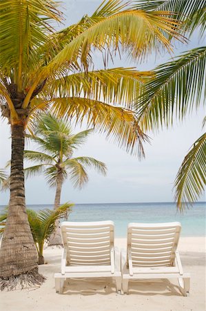 Really nice tropical beach with empty loungers Photographie de stock - Aubaine LD & Abonnement, Code: 400-04572169