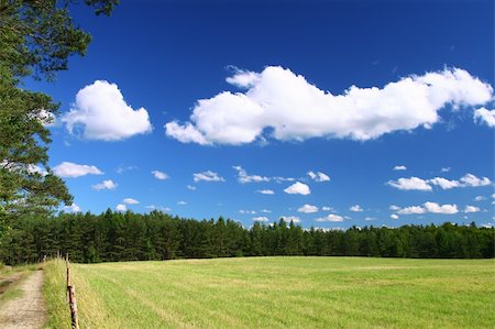 simsearch:400-04332610,k - picturesque country road and field, cumulus clouds in background Stock Photo - Budget Royalty-Free & Subscription, Code: 400-04572959