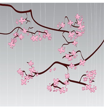 This is a cherry blossom background - it's a vector illustration Foto de stock - Super Valor sin royalties y Suscripción, Código: 400-04586307