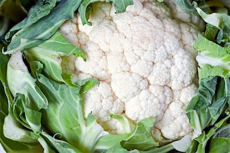 single cauliflower vegetable isolated on white Stock Photo - Budget Royalty-Free & Subscription, Code: 400-04586378