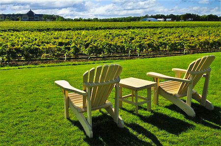 Muskoka chairs and table near vineyard at winery Photographie de stock - Aubaine LD & Abonnement, Code: 400-04587616