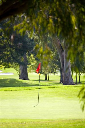 simsearch:400-03975619,k - View of golf hole through the trees Stock Photo - Budget Royalty-Free & Subscription, Code: 400-04587809