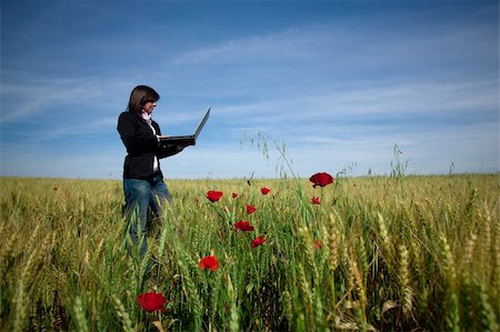 young businesswoman with laptop on poppie field Stockbilder - Microstock & Abonnement, Bildnummer: 400-04588640