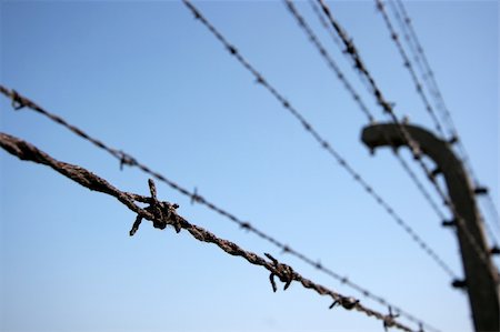 simsearch:400-08314121,k - Barbed wire fence against clear blue sky Stock Photo - Budget Royalty-Free & Subscription, Code: 400-04588813