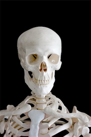 simsearch:400-04082489,k - The upper part of human skeleton isolated on black Stock Photo - Budget Royalty-Free & Subscription, Code: 400-04588842