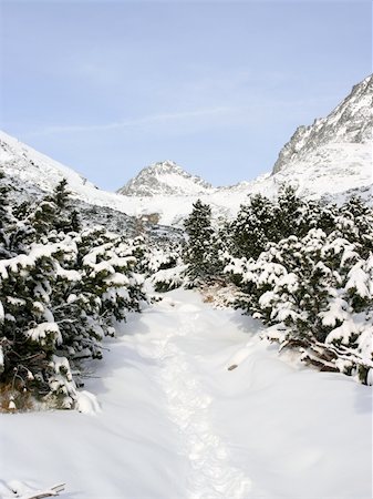 small hiker - High tatra in the fresh winter snow Stock Photo - Budget Royalty-Free & Subscription, Code: 400-04588851