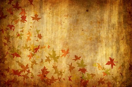Mapple Leafs Autumn Background Stockbilder - Microstock & Abonnement, Bildnummer: 400-04589094