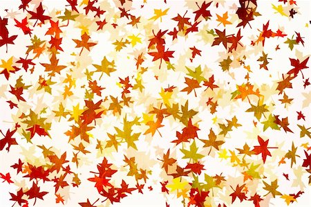 simsearch:400-06179170,k - Mapple leafs Autumn Background Stock Photo - Budget Royalty-Free & Subscription, Code: 400-04589092