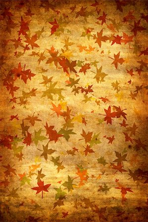 simsearch:400-06179170,k - Mapple Leafs Autumn Background Stock Photo - Budget Royalty-Free & Subscription, Code: 400-04589093